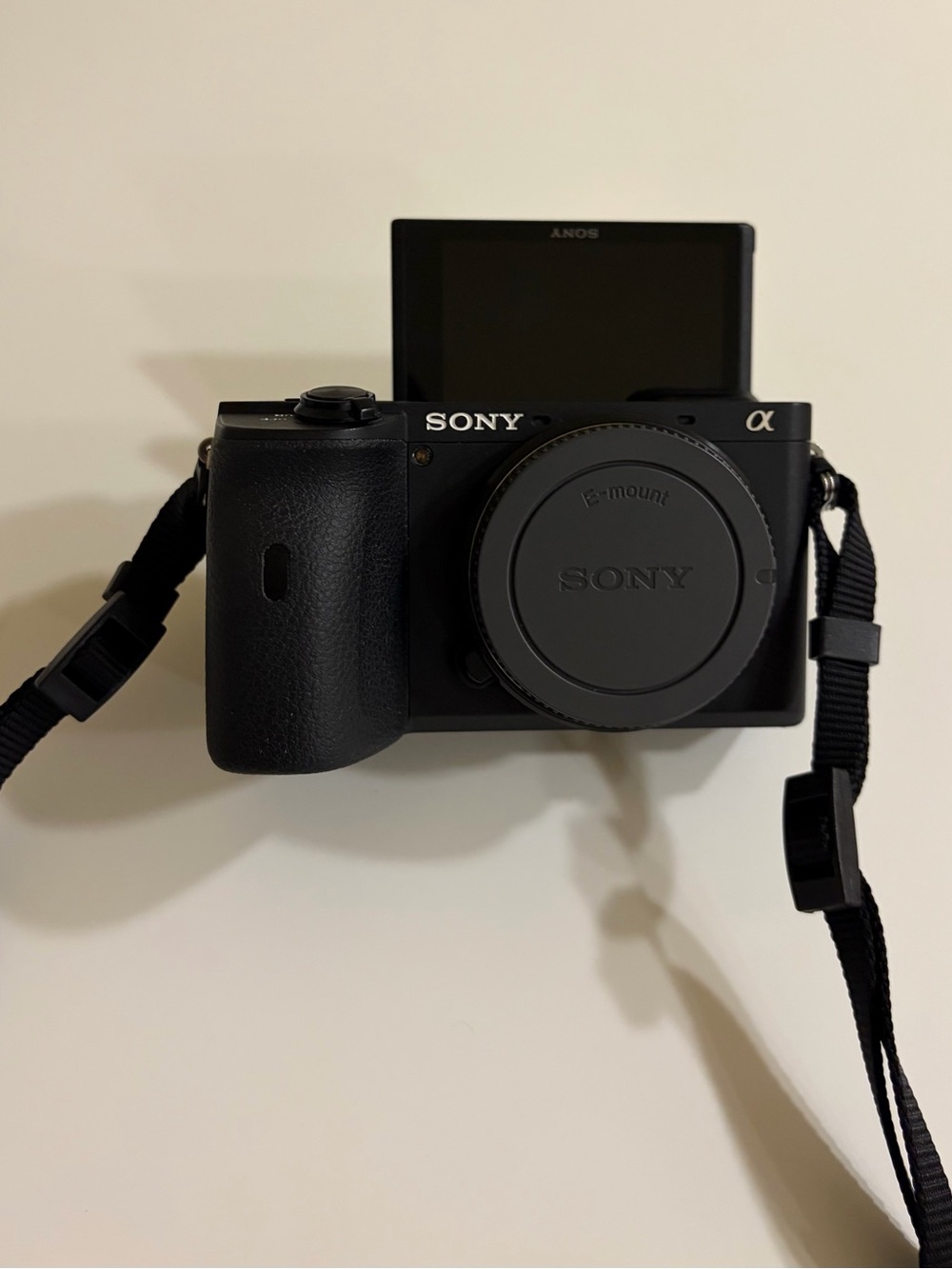 Sony Camera A6600 vlogging